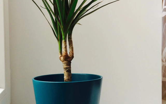 Апартаменты в Историческом Центре