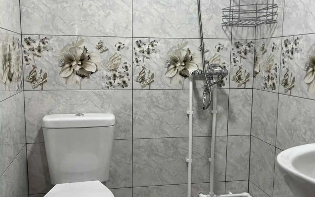Old Omalo Guest house