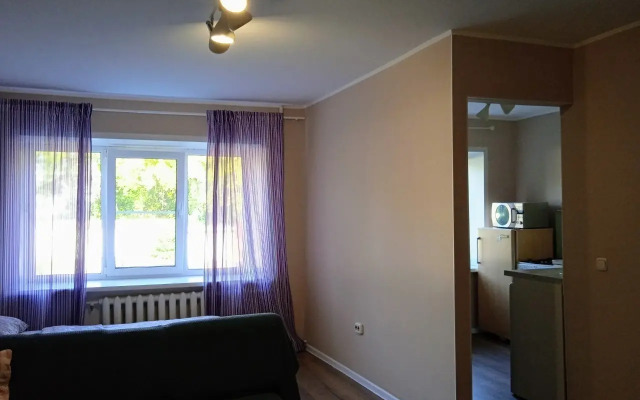 Квартира однокомнатная на проспекте Ленина 116