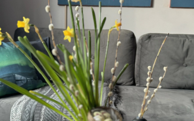 Квартира На Севере Красиво