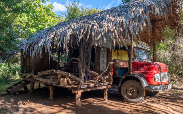 Banyan Camp