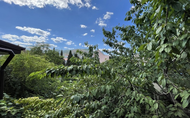Nikol Guest House