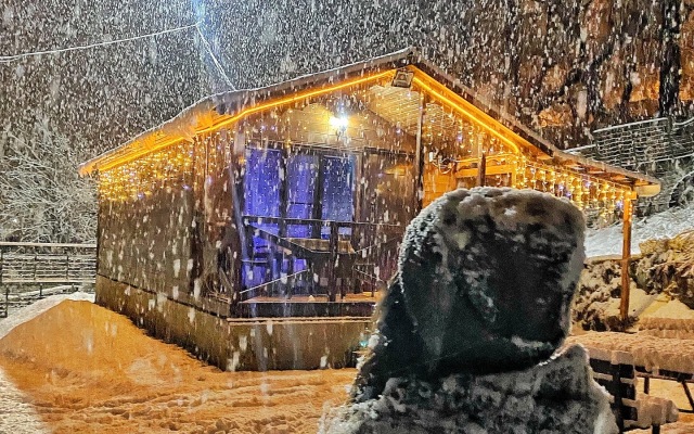 Шале Чинара