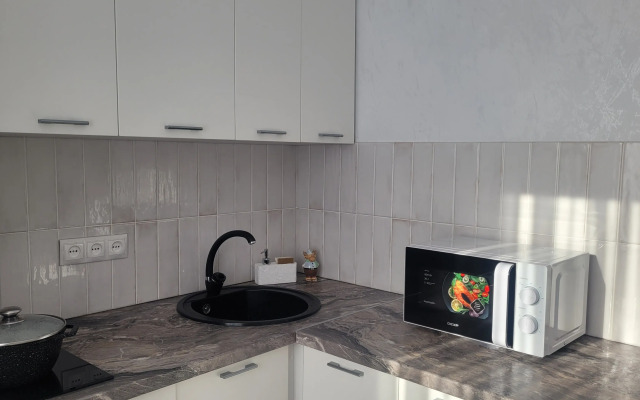 Uyutnaya kvartira s vidom na zasnezhennye gory Flat