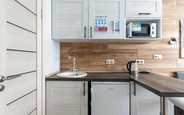 Апартаменты Букинист 233/1