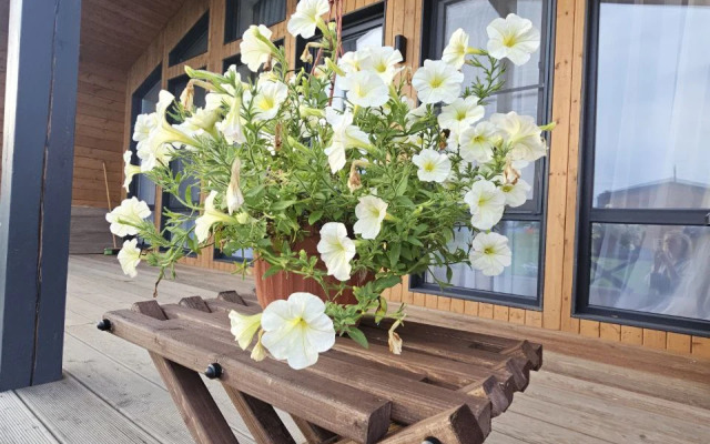 Частный дом Berezkino Village