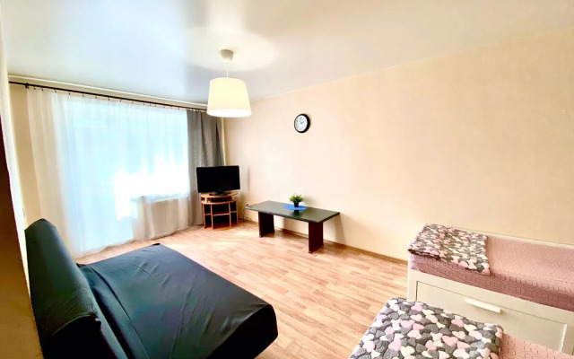 Апартаменты на Боровой 24