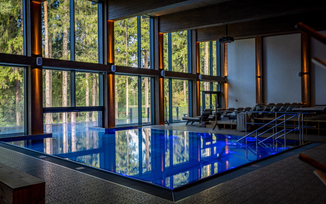Okhta park Chalet