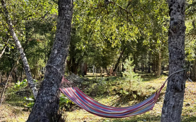 База отдыха Sibirski