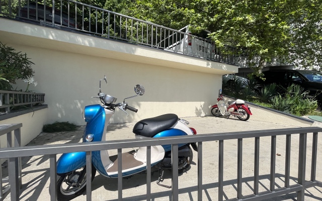 Апартаменты Альфа Заря