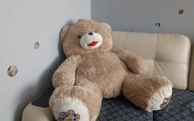 V Novostroyke Sotsgorodok 10 Flat