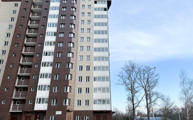Odnokomnatnye na ulice Oktyabryskoy Apartments