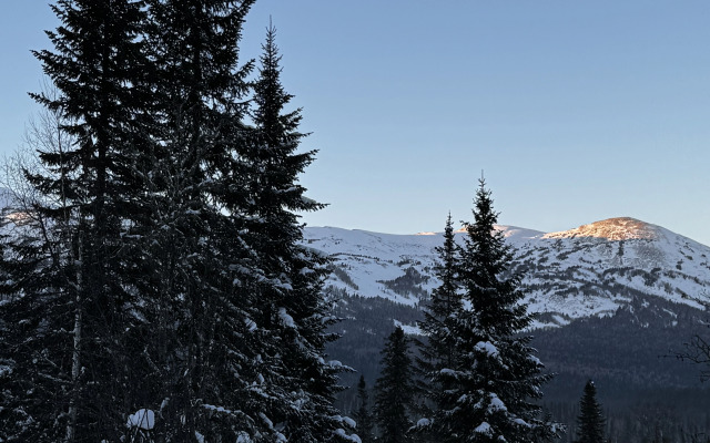 Частный дом с видом на лес и горы