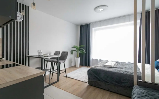 Apartments Komfort S Domashnim Kinoteatrom V Zhk Ilyinskie Luga
