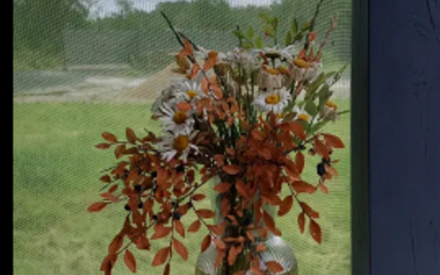 Эко Апартаменты с Внутренним Двориком