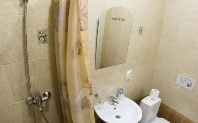 Апартаменты SutkiDar_Luzana (3)