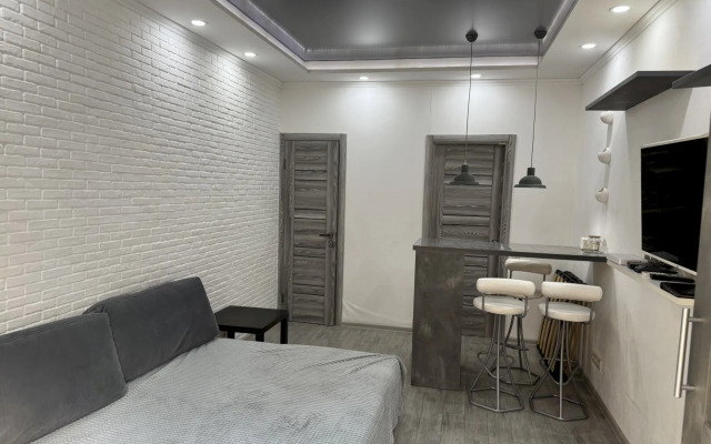 574 S Otdelnym Vkhodom I Mini-Kukhney Zhk Albatros Apartments