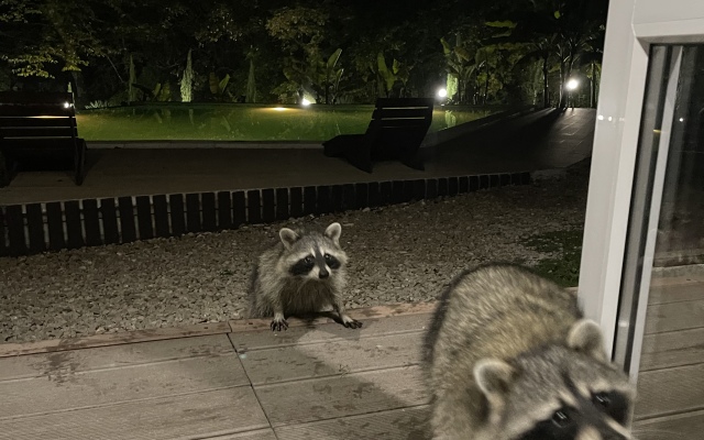 Гостевой дом Bungalow