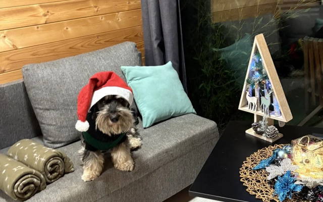 Коттедж Под звездами Комфорт