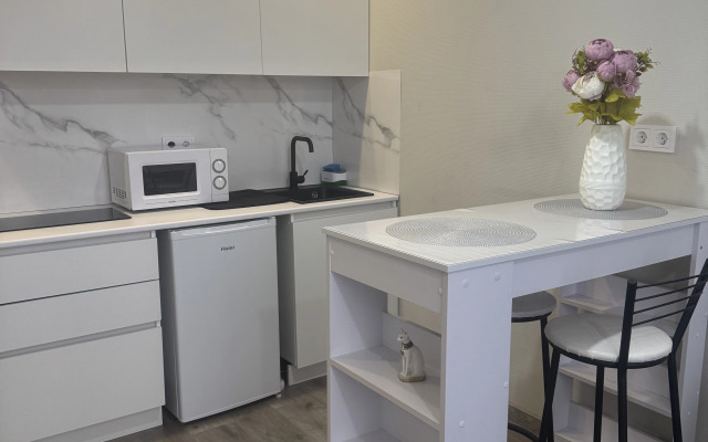 Uyutnaya Studiya U Metro Flat