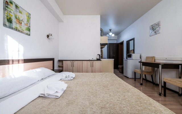 plot - Byudzhetnye s balkonom 10 Apartments