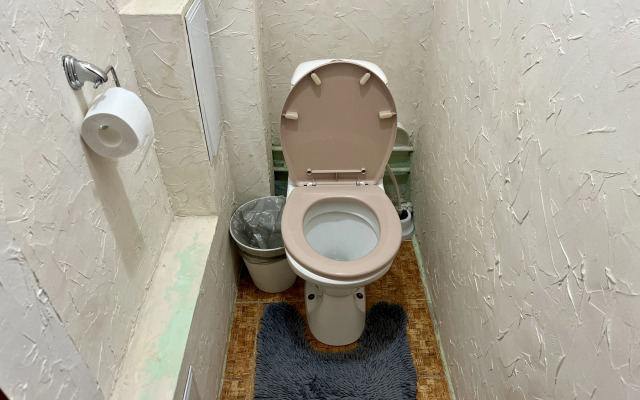 Odnokomnatnaya Lyuks U Dk Metallurgov Flat