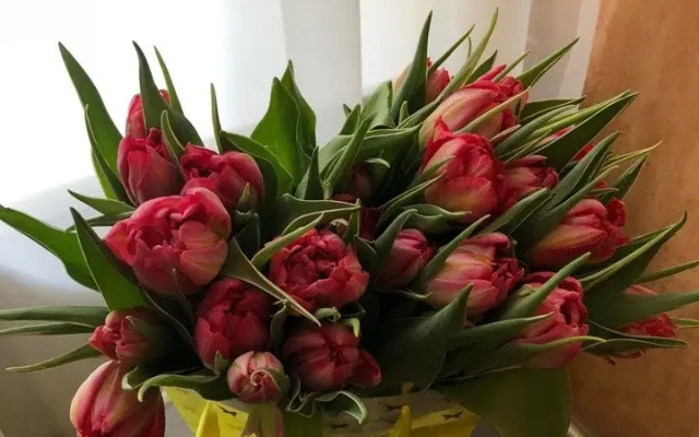 Мини-Отель Колумб