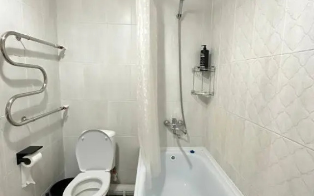 Svetlaya s Balkonom Flat