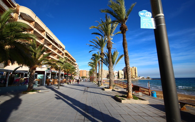 Апартаменты Marina Playa de Torrevieja