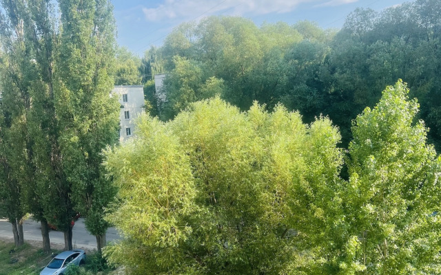 Квартира на улице Большая 98