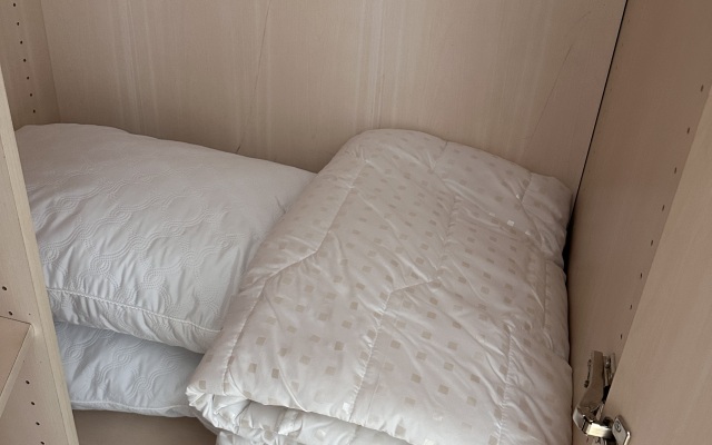 Квартира 2х-комнатная в историческом центре Владивостока