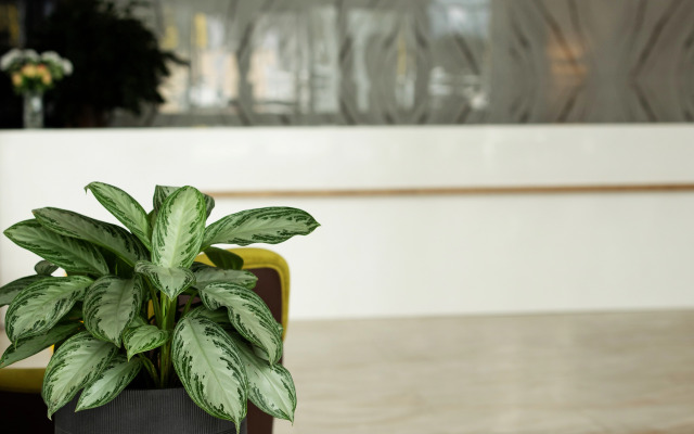 Torre Astana Apartment Hotel