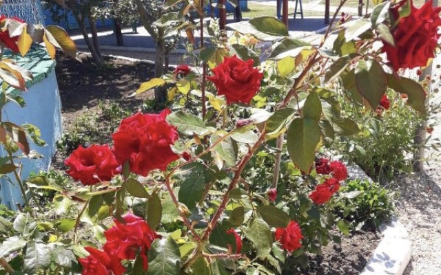 База отдыха Ветерок