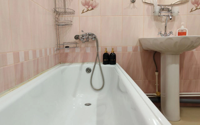 Апартаменты Большая студия Судоремонтная 31/1