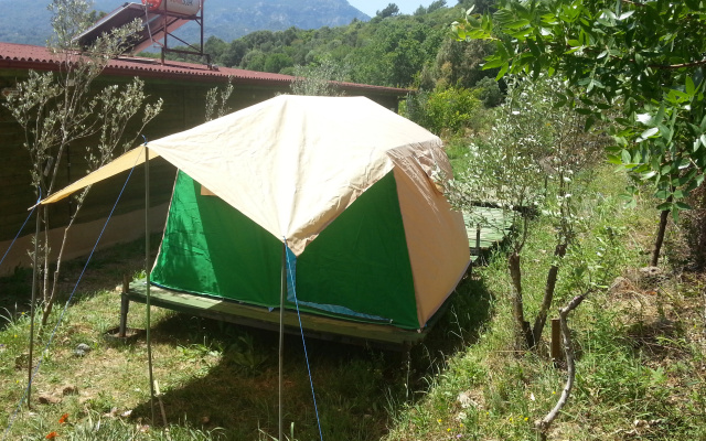 Sun Dalyan Yeni Adet Organic Certificated Mini-Hotel