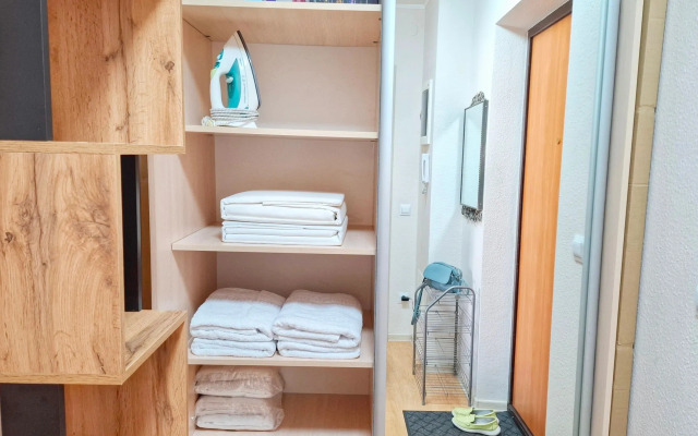 Апартаменты Просторные с видом на парк