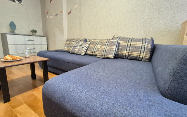 Квартира просторная с тремя раздельными спальными местами парк Галицкого