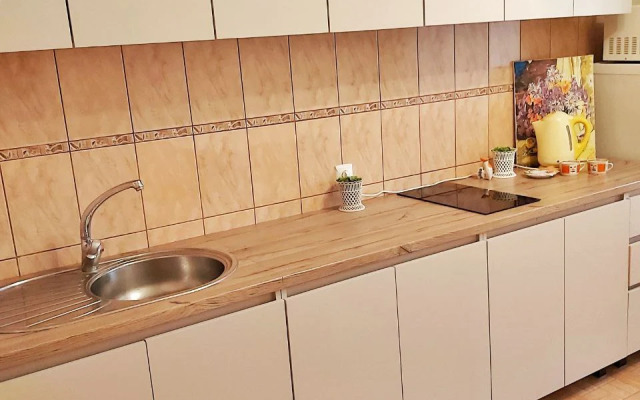 Апартаменты от Людмилы на улице Революции 1905 года