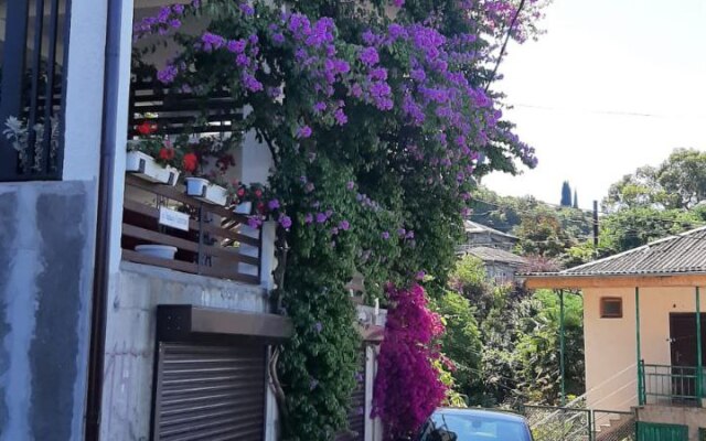 Elida Guest House