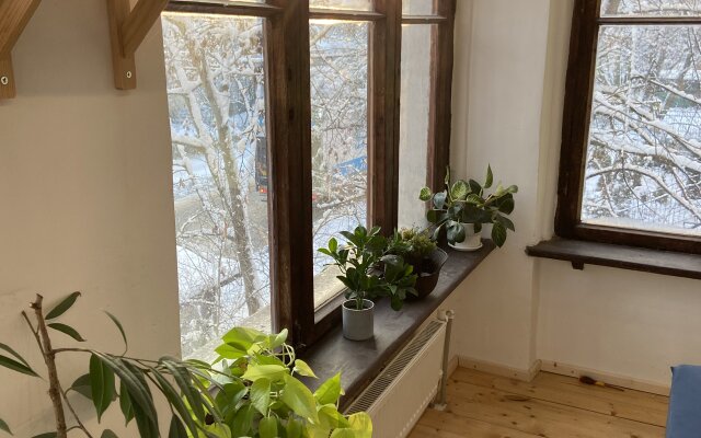 Art House Tolstoy Guest House