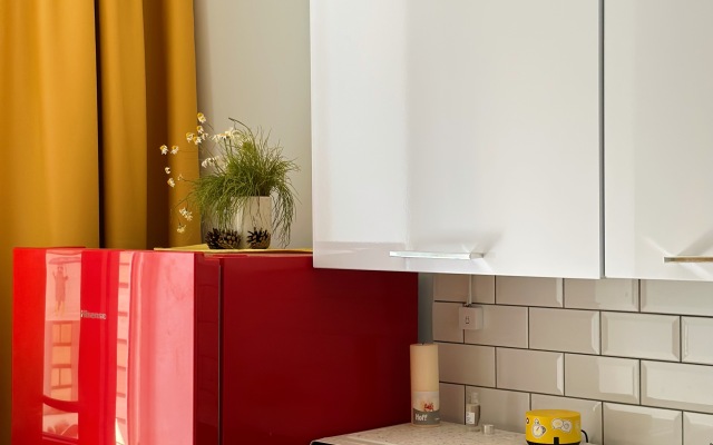 Апартаменты Метро Ладожская