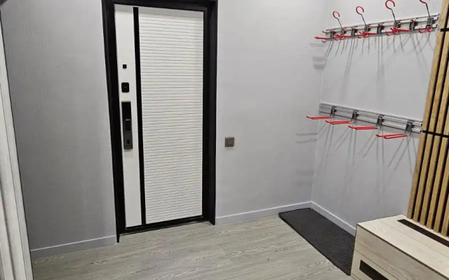 Квартира Олимпийская 81