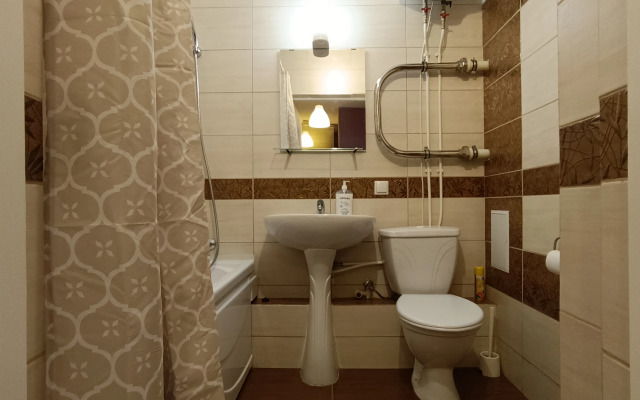 Апартаменты Библиотечная 45 #1