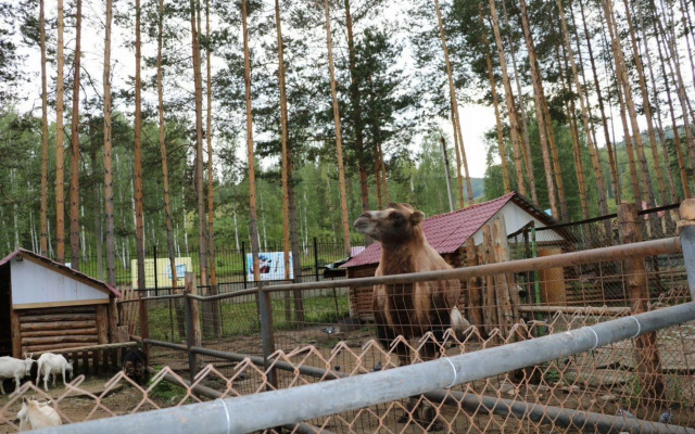 Частный Дом Ёлки 3