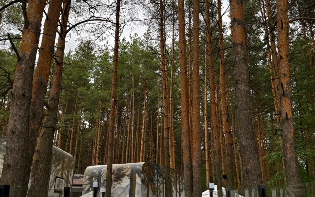 База отдыха Narnia Planet Hotel & SPA