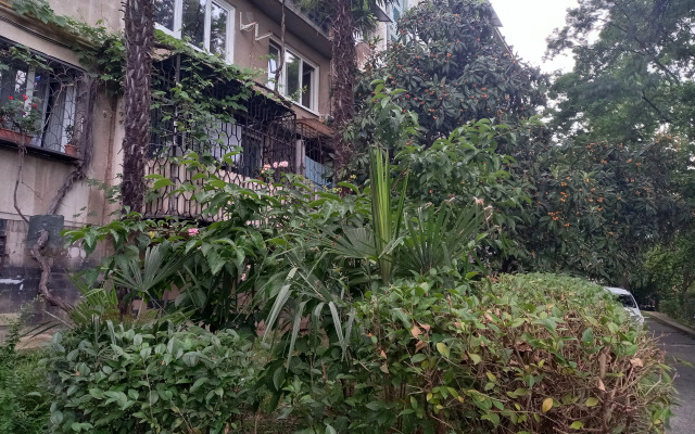 V Samom Tsentre Goroda Flat