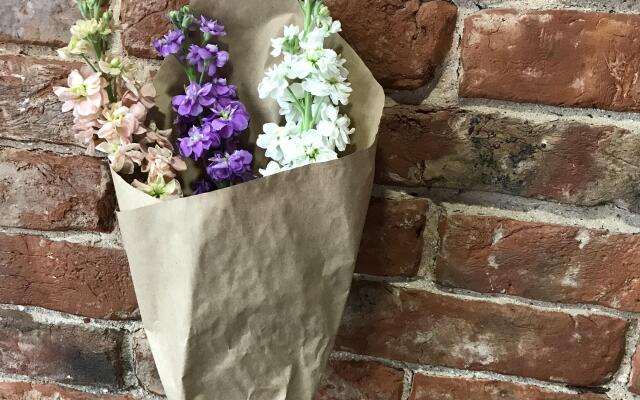 Жилые Помещения Аватар на Спортивной