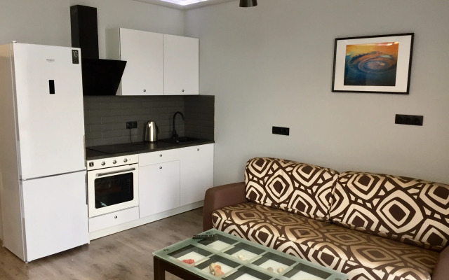 Апартаменты на Римской