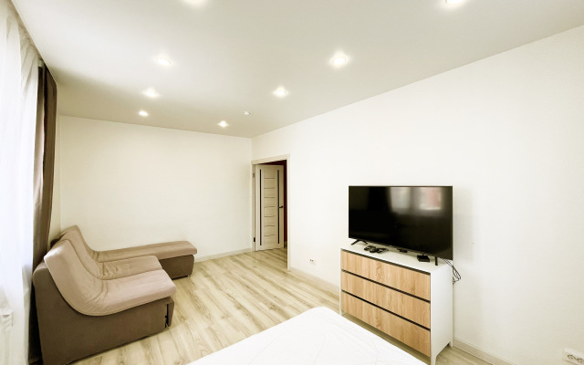 New large one-bedroom apartment on Sovetov Square