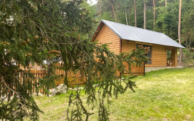 Частный дом у Друзей